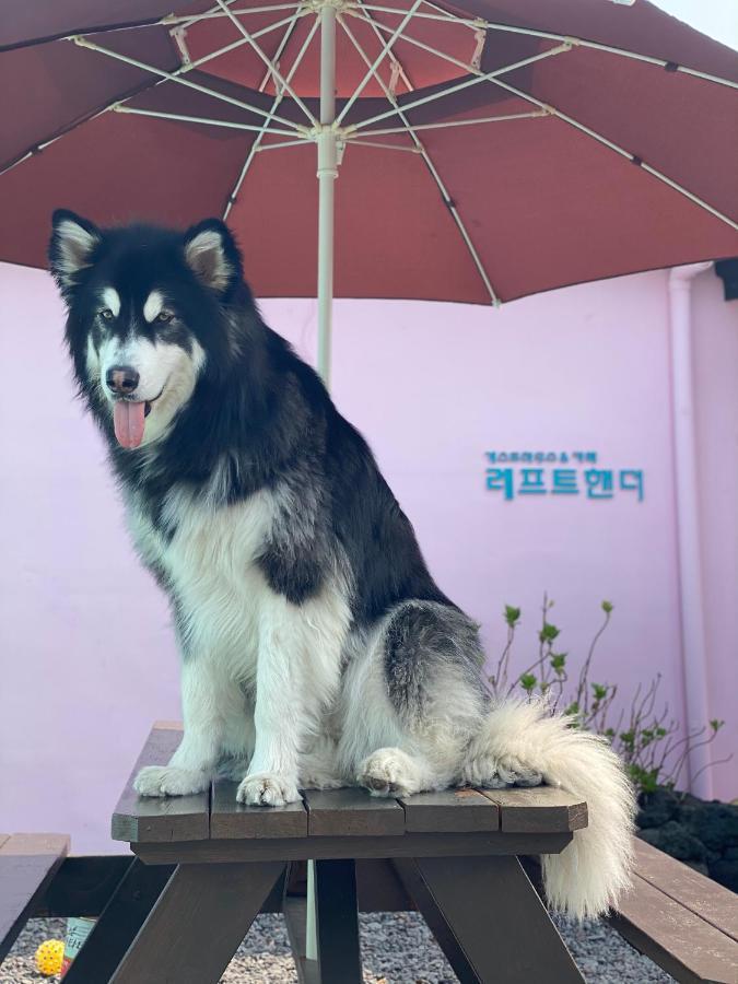 Lefthander Guesthouse Jeju Ngoại thất bức ảnh